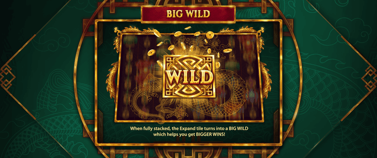 Big Wild image