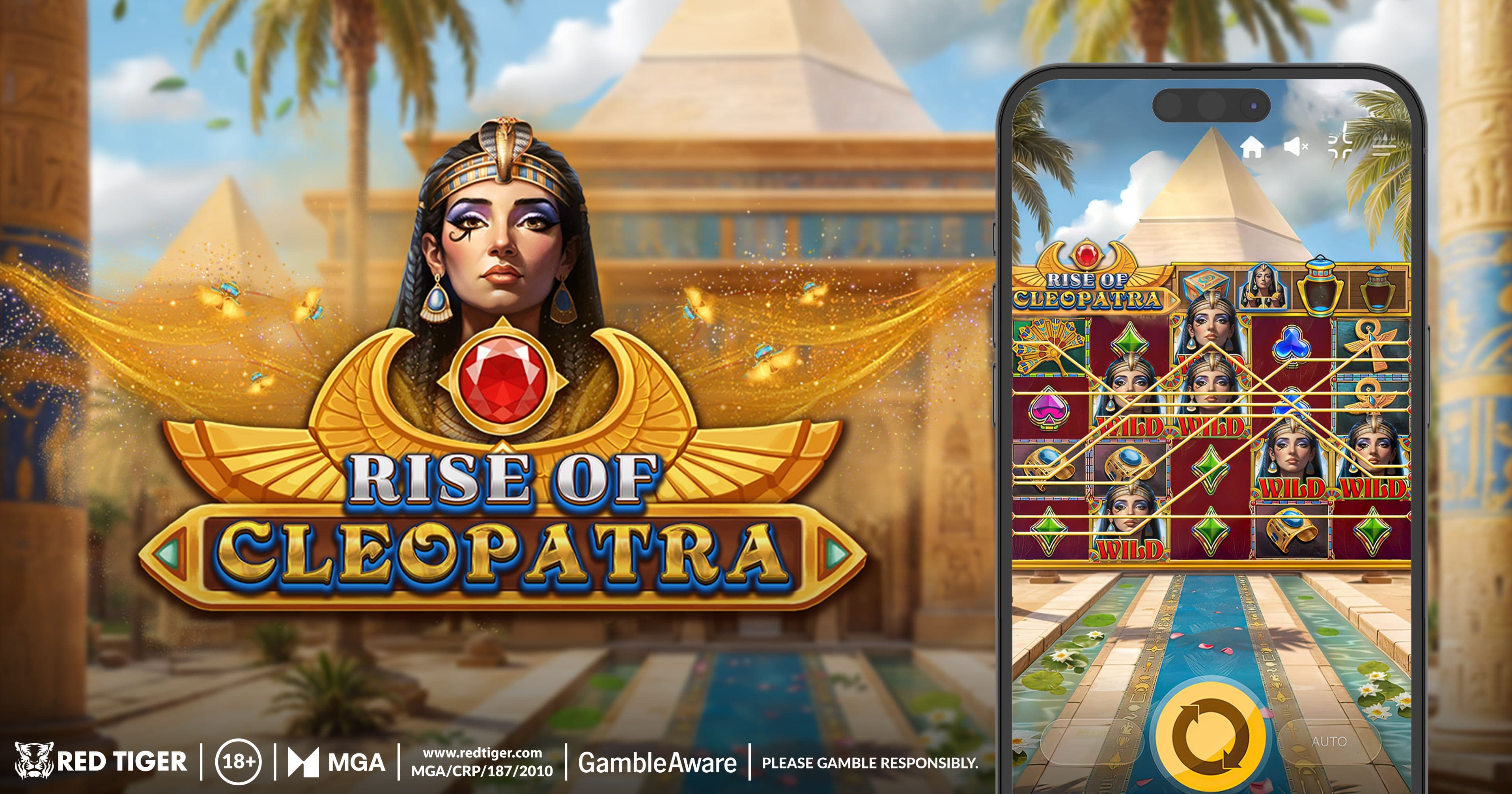 Picture of the author