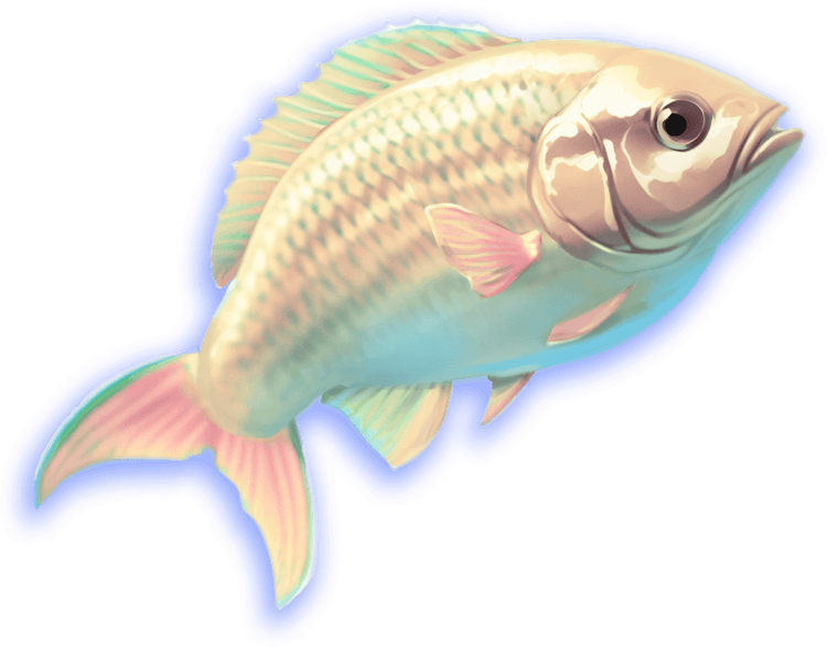 Fish image