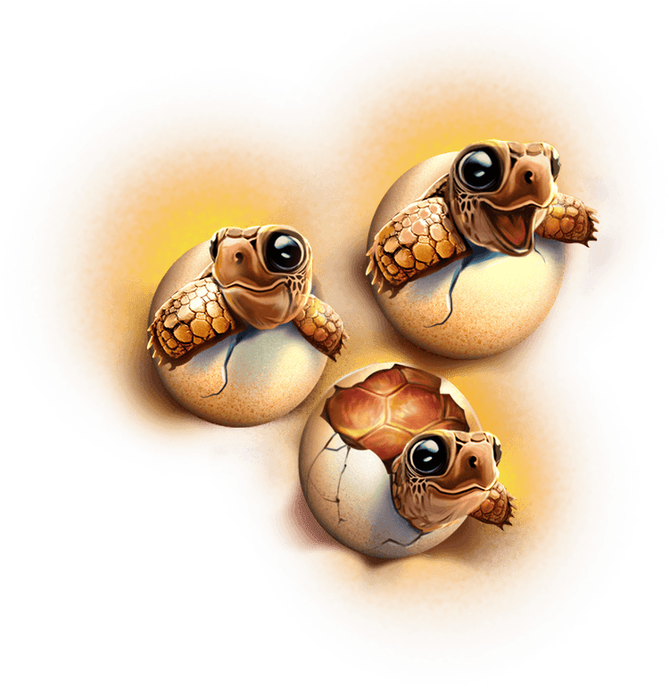 Egg Nests image