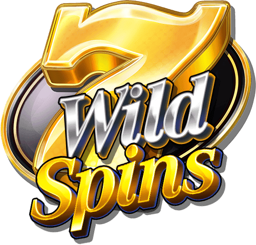 Wild Spins image