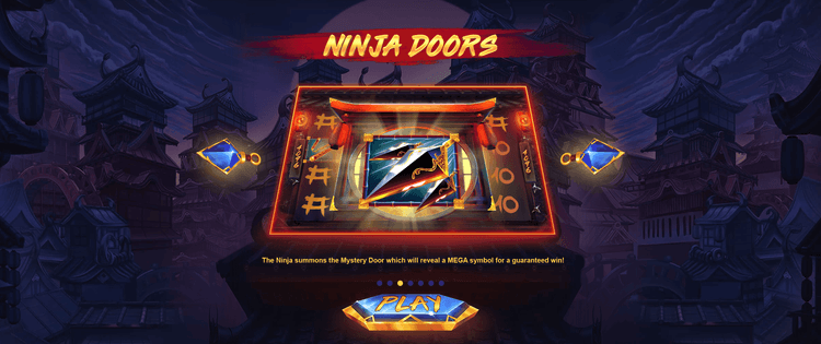 Ninja Door image