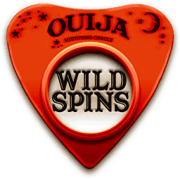 Wild Spins image