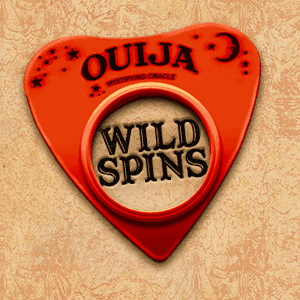 Wild Spins image